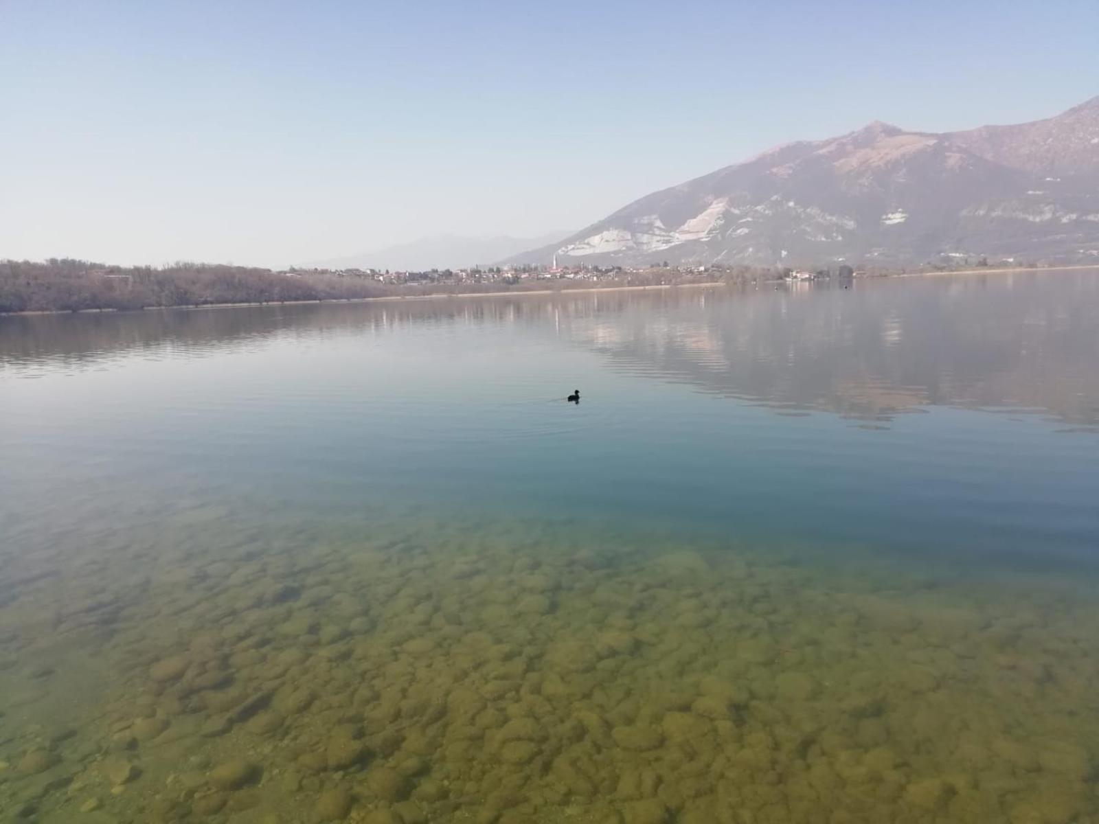 לינה וארוחת בוקר Oggiono La Poesia Del Lago מראה חיצוני תמונה