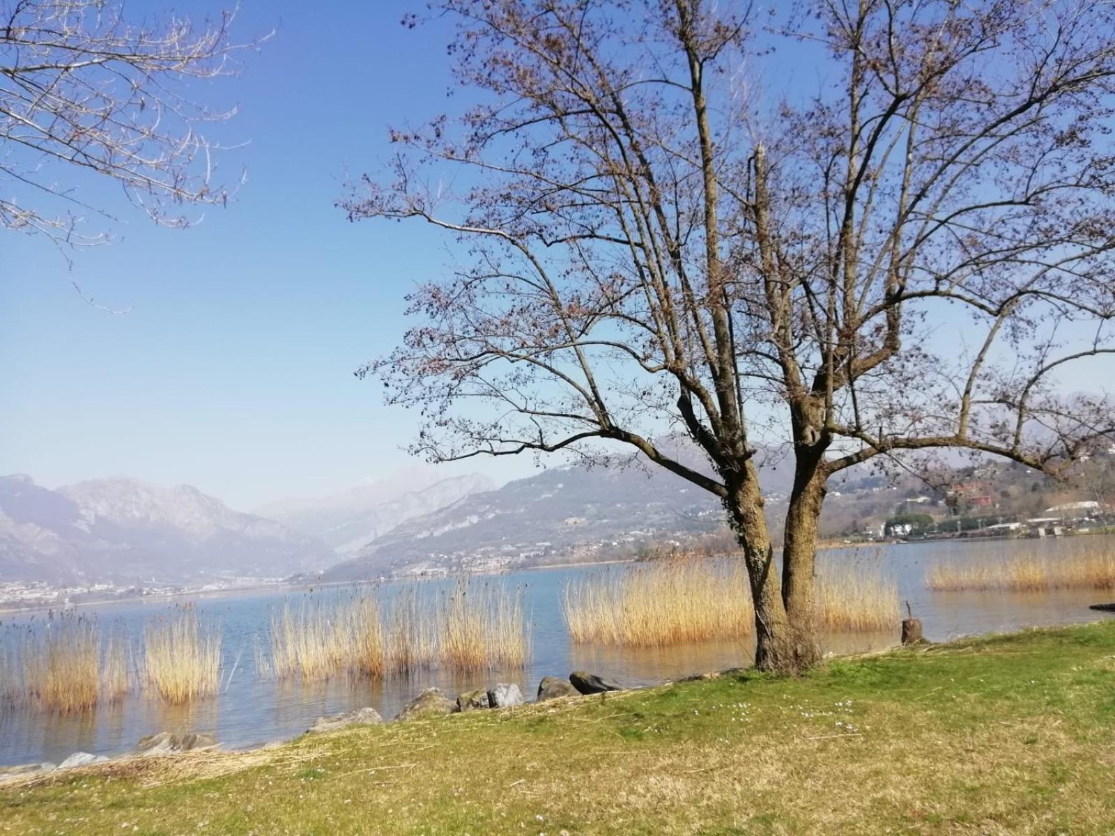 לינה וארוחת בוקר Oggiono La Poesia Del Lago מראה חיצוני תמונה